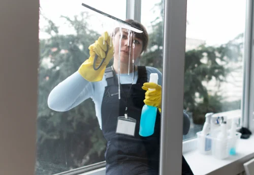 Nettoyage de vitres intérieures et extérieures à Nougaroulet